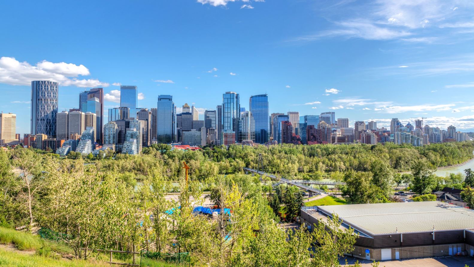 Homes in Inner City Calgary